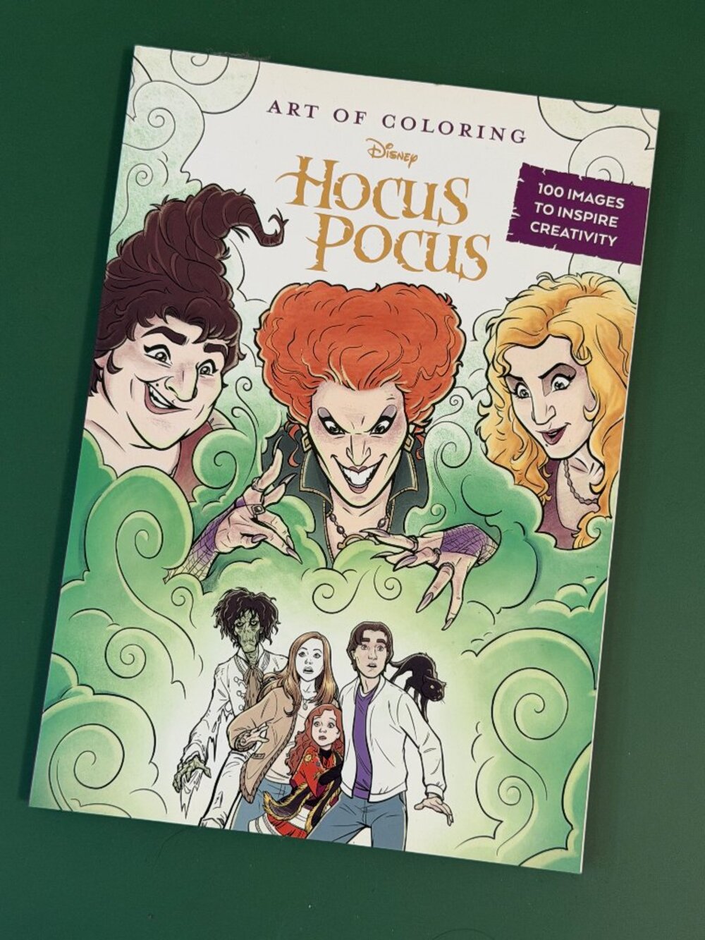 NEW Disney Hocus Pocus Coloring Book